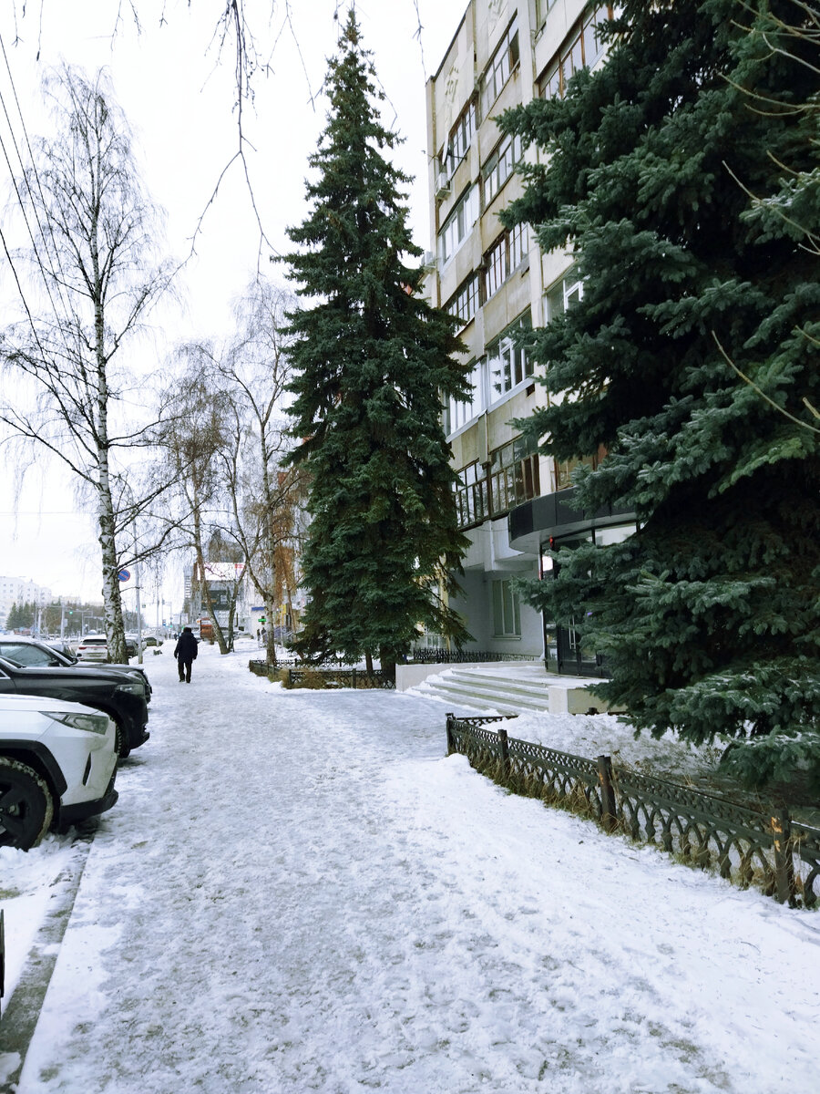 Фото автора. Вчерашнее фото.