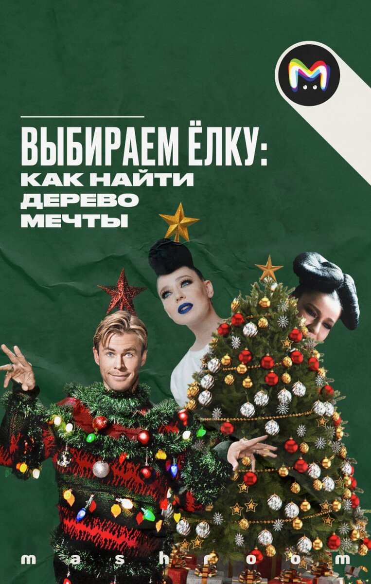 Выбираем ёлку: как найти дерево мечты