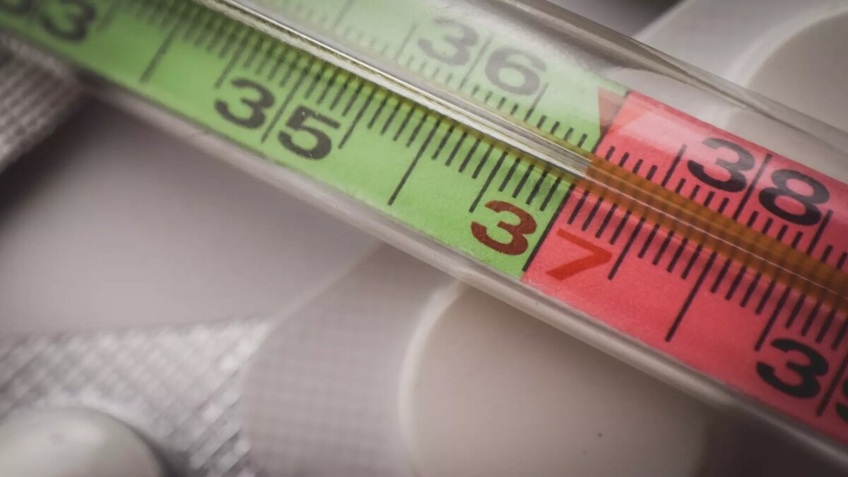     У 46 детей, снятых отдыхавших в тюменском лагере «Олимпийская ребячка», подтвержден вирус гриппа А (какой именно штамм информации нет),. Еще 42 заболевшим поставлен диагноз ОРВИ.