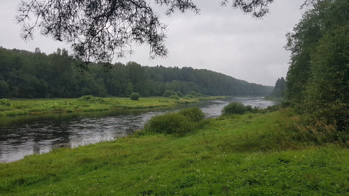 Волга в районе деревни Бобронниково в Тверской области.