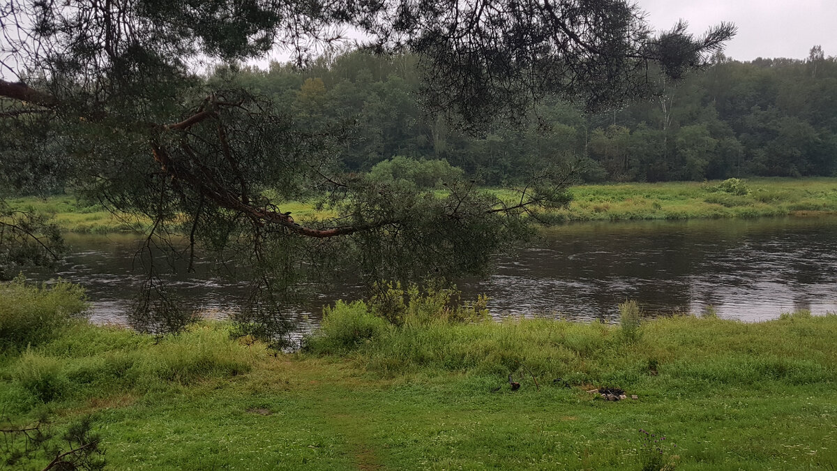 Волга в районе деревни Бобронниково в Тверской области.