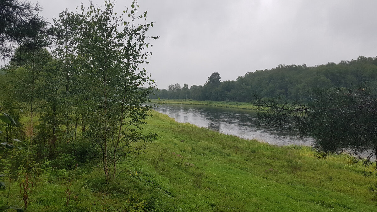 Волга в районе деревни Бобронниково в Тверской области.