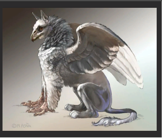 Взято из свободных источников. 