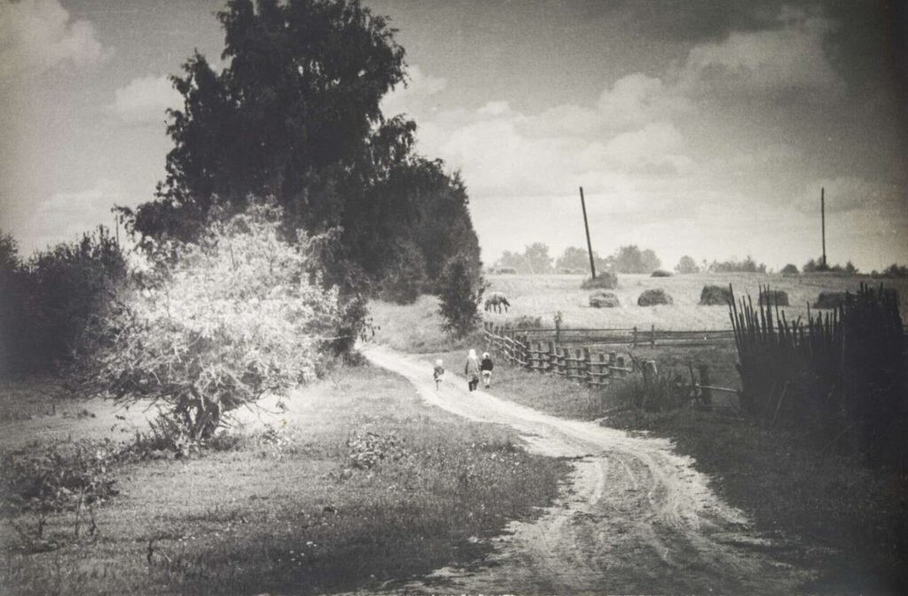     фото: Boris Gavrilovich Mikhalevkin