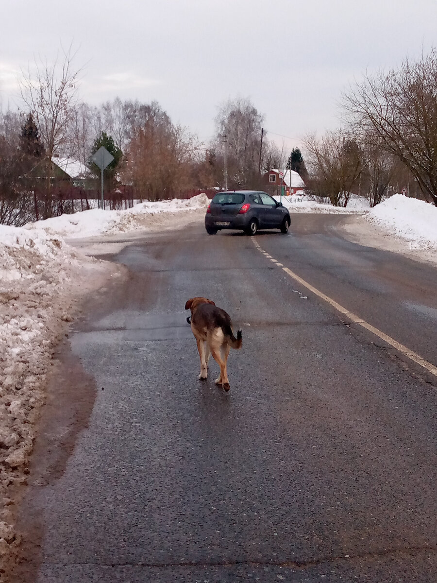 Здесь вообще нормально можно ходить.