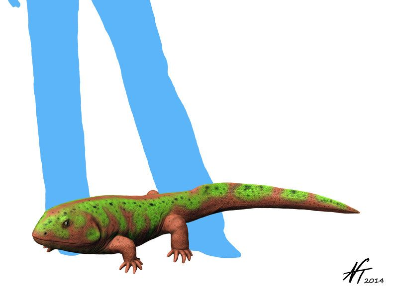 Выгуливая своего педерписа, не забывайте поводок и намордник! 