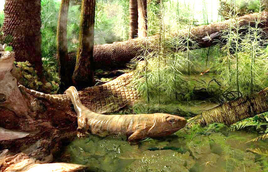 Фух, хотя бы свежим воздухом подышать можно! 