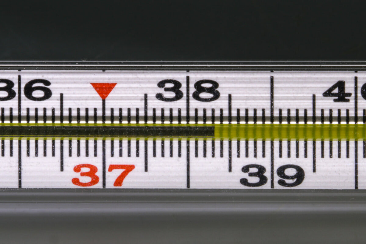 ALEKSANDER POLYAKOV/GLOBAL LOOK PRESS