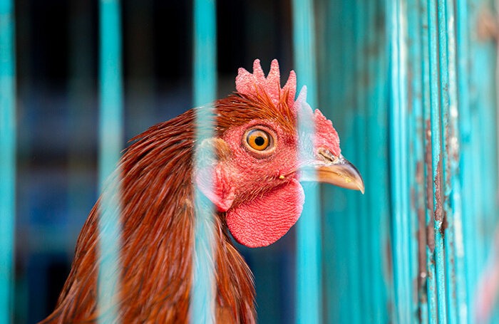    Narendra Shrestha/EPA/TASS