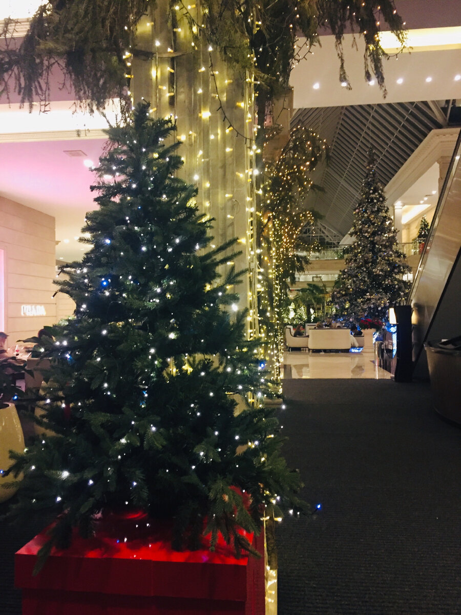 Фото сделано автором и принадлежит автору 