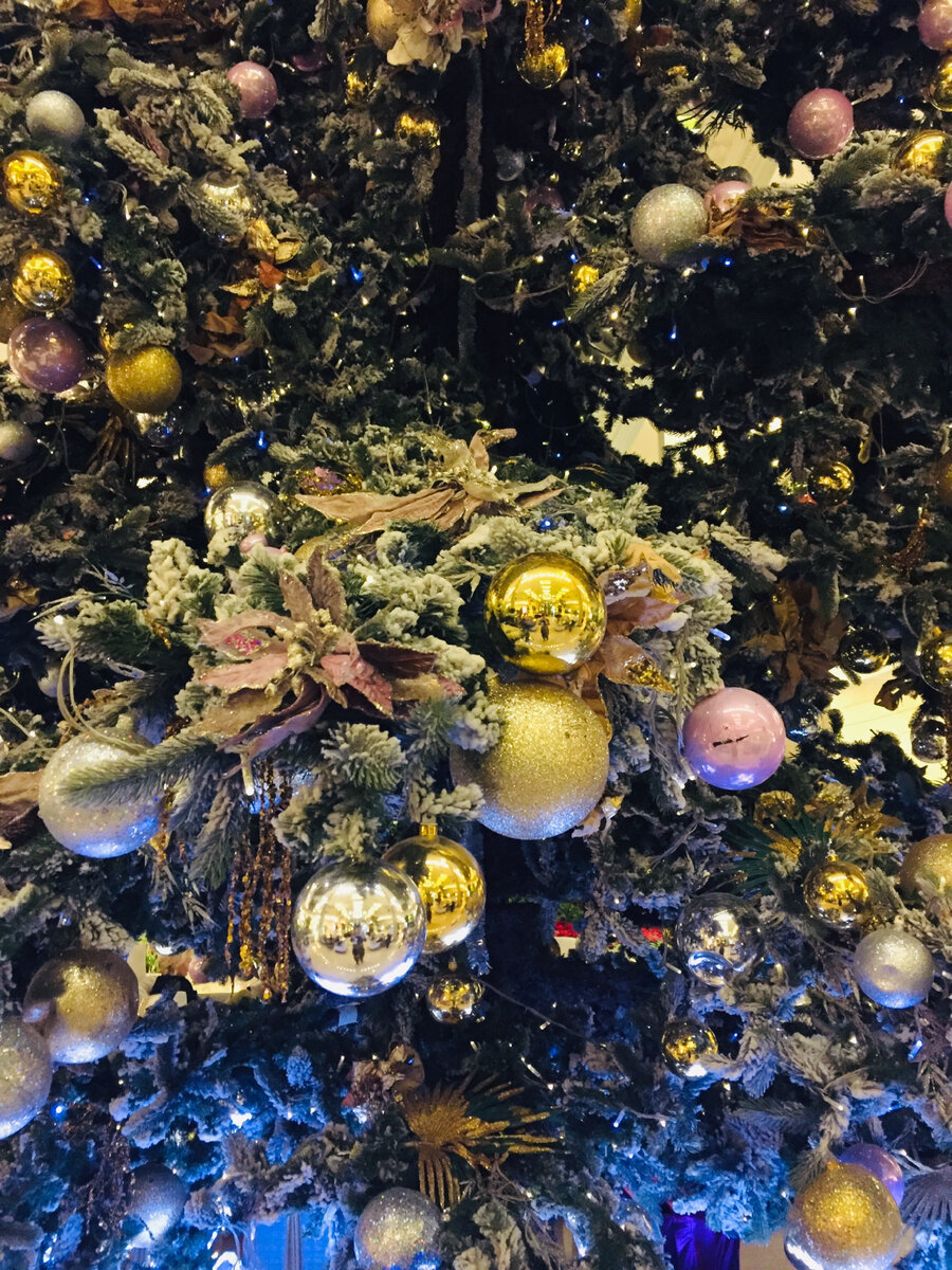 Фото сделано автором и принадлежит автору 