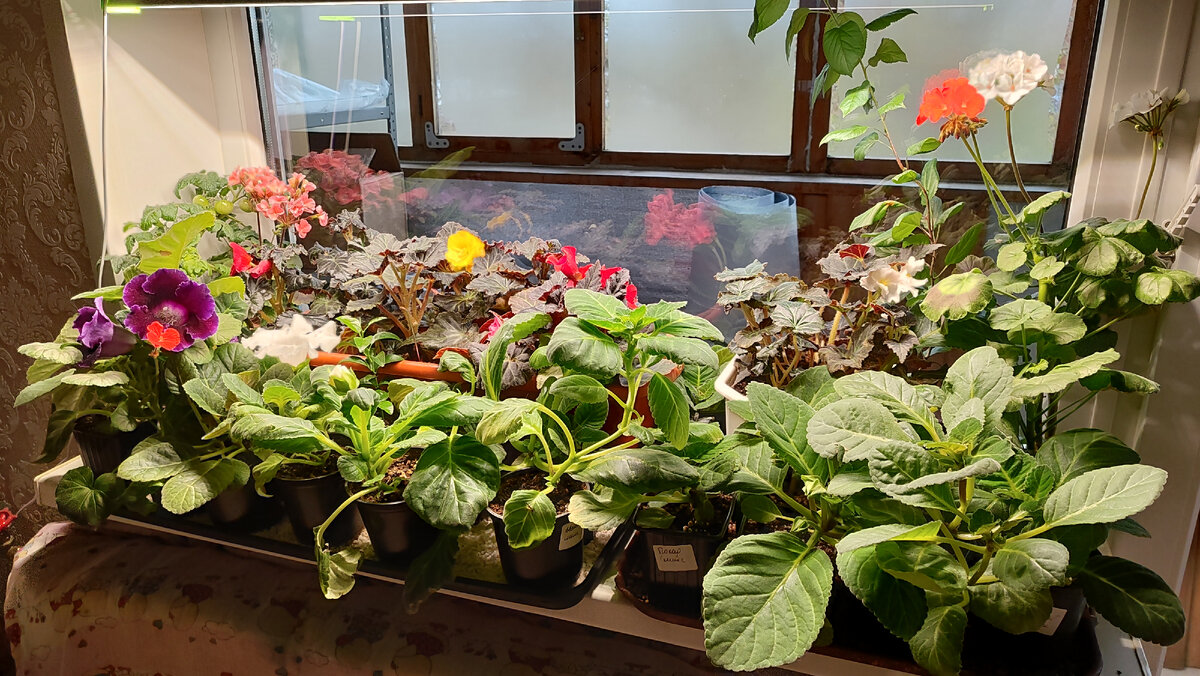 Фото из домашнего архива.