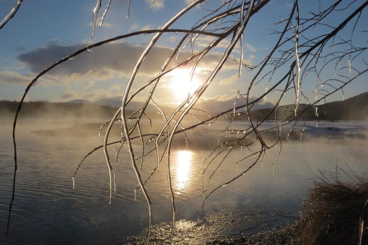    Фото: Наталья Коллегова / Pixabay.com