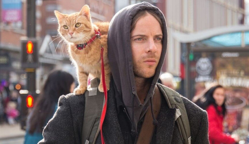 Русский трейлер уличный кот по имени боб. Кот боб трейлер. Люк тредэвэй кот боб. Кот по кличке боб. Кот боб трейлер.