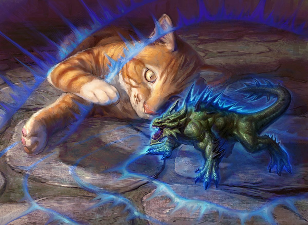 Кот и дракон.