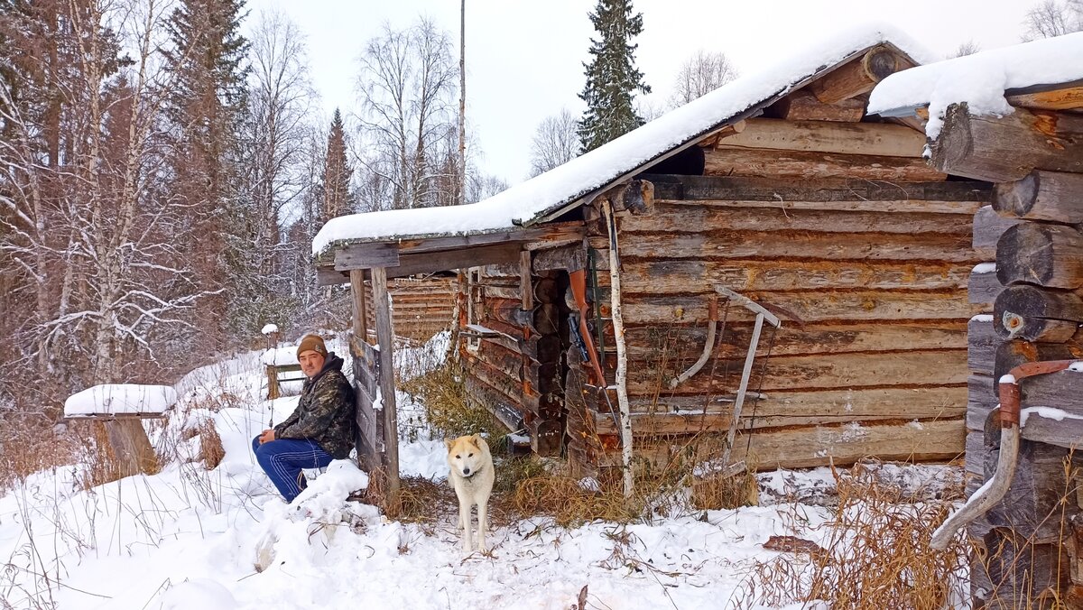 Быт в в лесу. Крайний север.