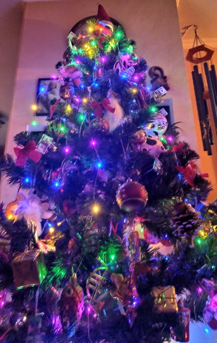 фото автора sFoty с Наступающим Новым годом 2024