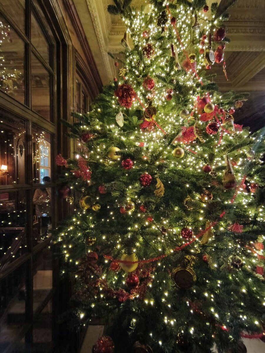 Волшебная ёлка 