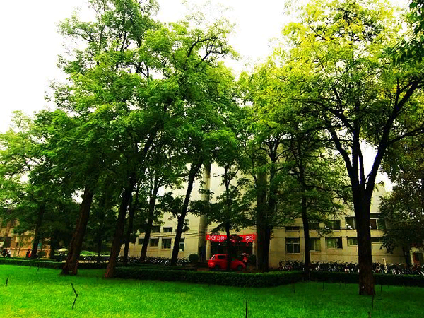 BEIJING FORESTRY UNIVERSITY. Источник: Baidu.com