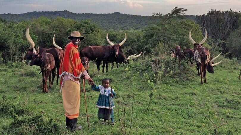 Вы когда-нибудь слышали о племени баньянколе?  Баньянколе — это племя кочевников-скотоводов, проживающее в некоторых частях Западной Уганды.-2