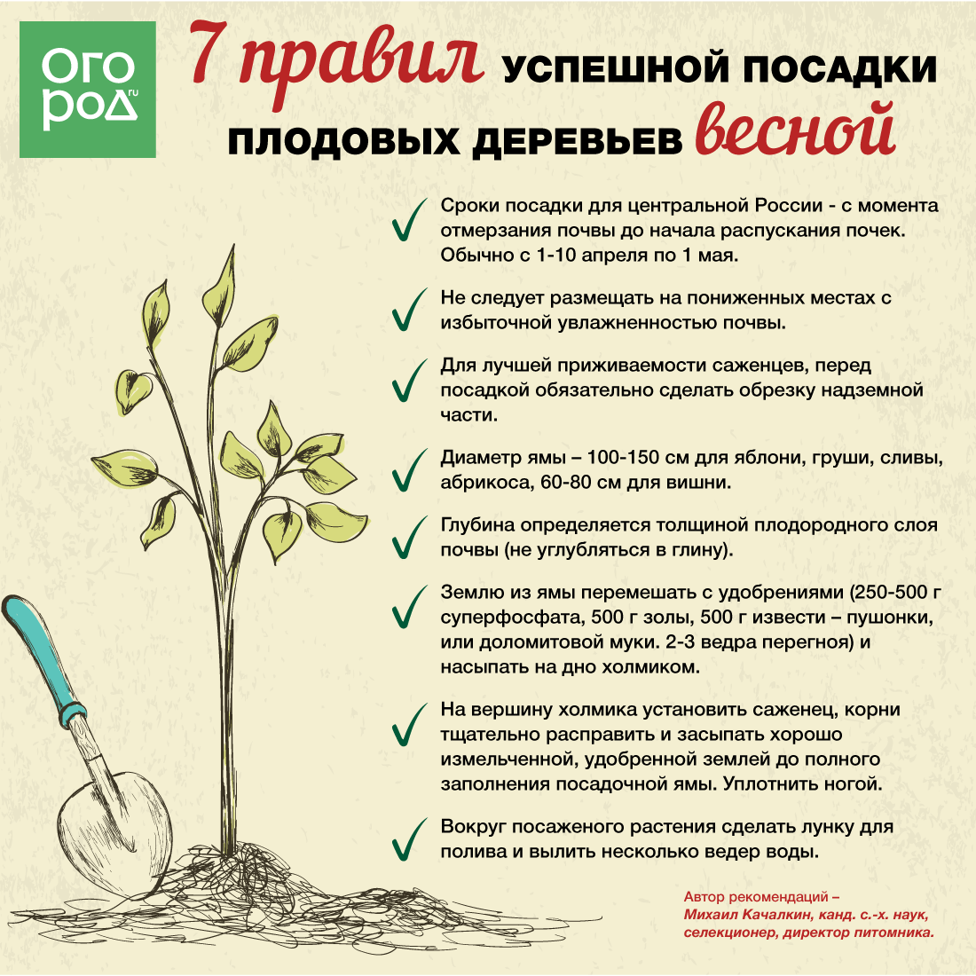 Фото открытых источников