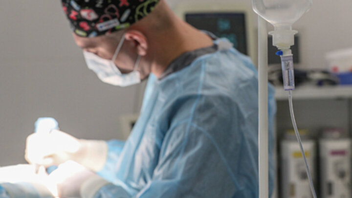 ФОТО: © BULKIN SERGEY /NEWS.RU/GLOBALLOOKPRESS