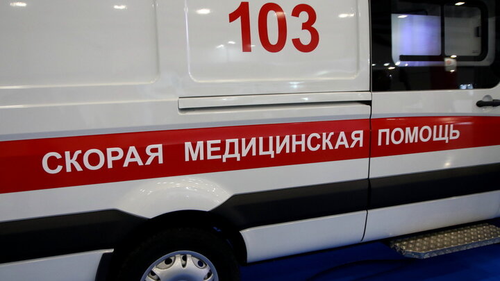 ФОТО: © MAKSIM KONSTANTINOV/GLOBALLOOKPRESS