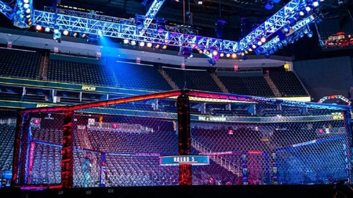 Октагон UFC background