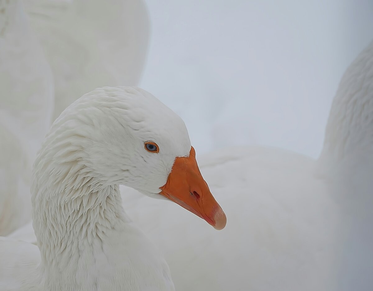    Unsplash