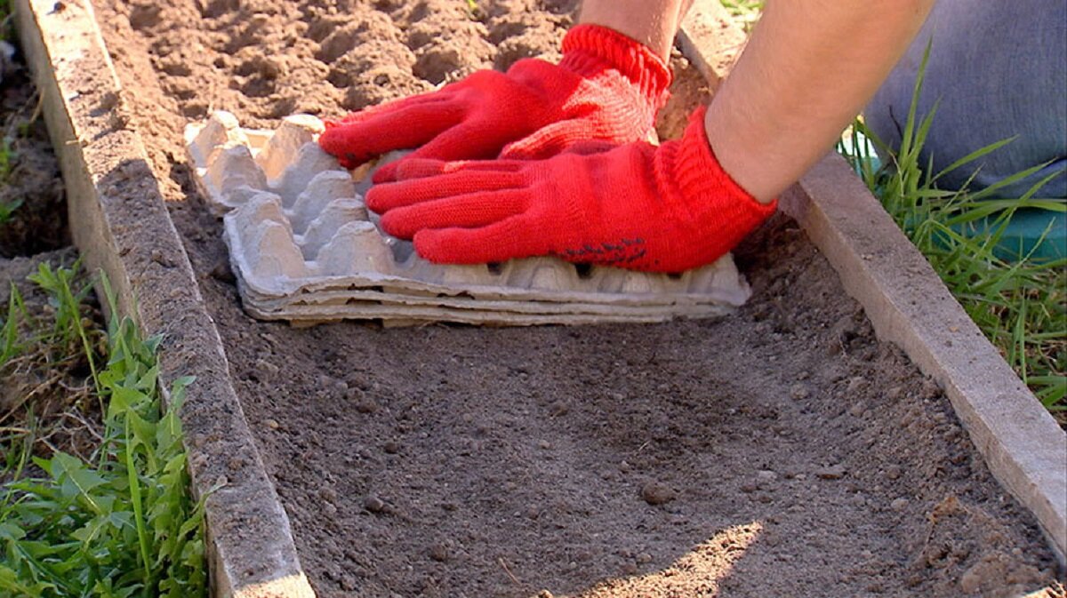 Чем догадливее огородник, тем больше он получает удовольствия от работы на грядках