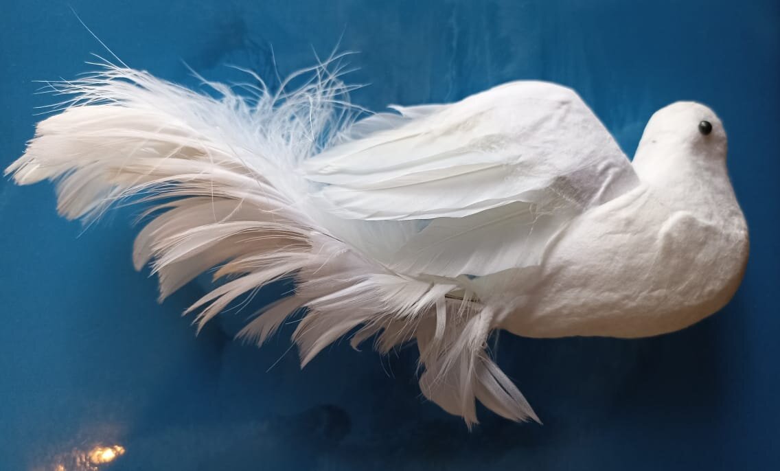 Вот образ Голубки нашей...