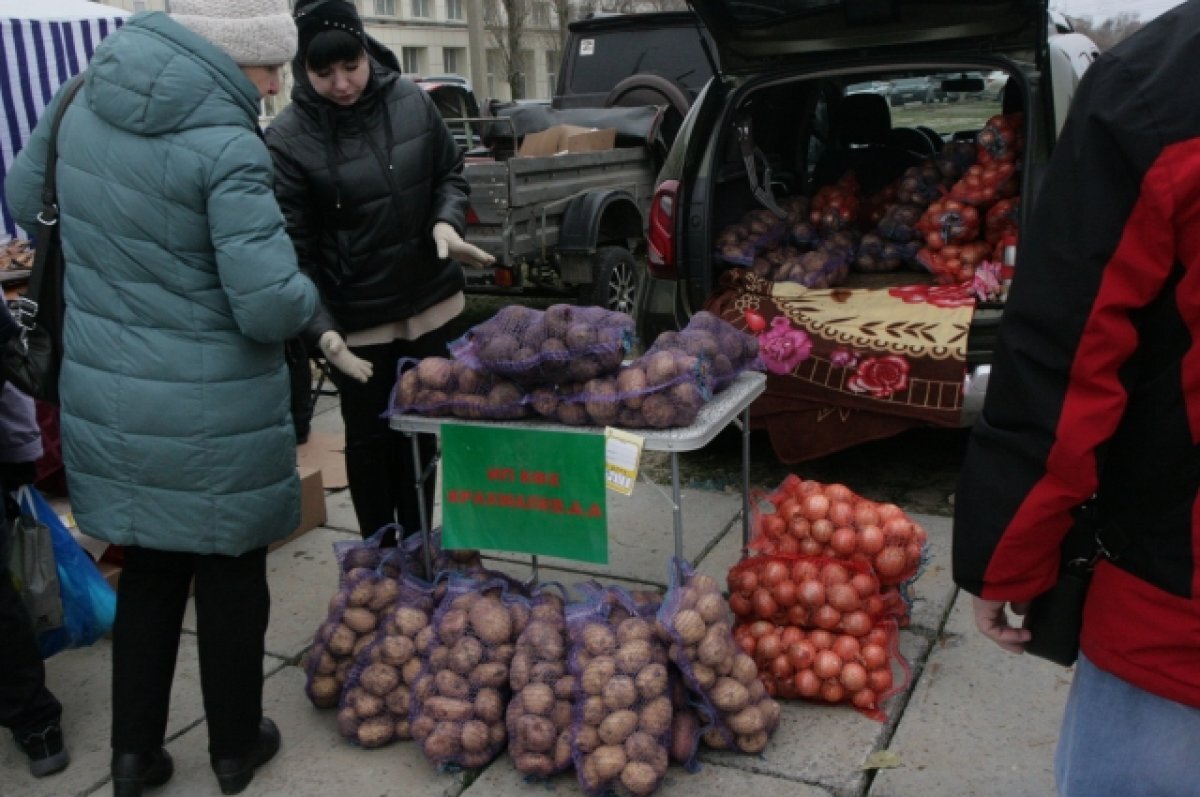    Сельское хозяйство Приморья добилось в 2023 году хороших результатов