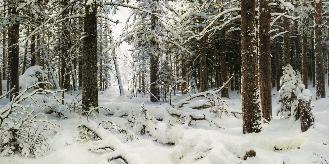 5 необыкновенных зимних картин русского художника Ивана Шишкина