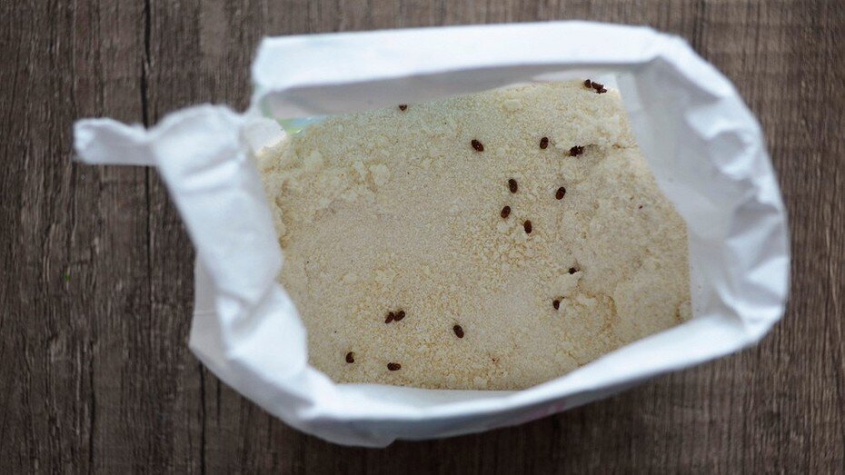 ShutterStock/Fotodom.ru