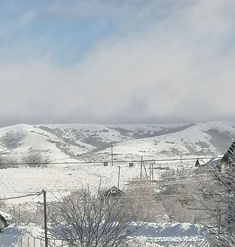 Сегодня вижу из окна