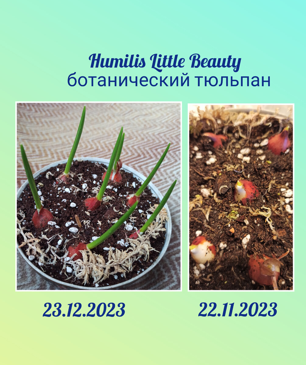 Изменения за месяц