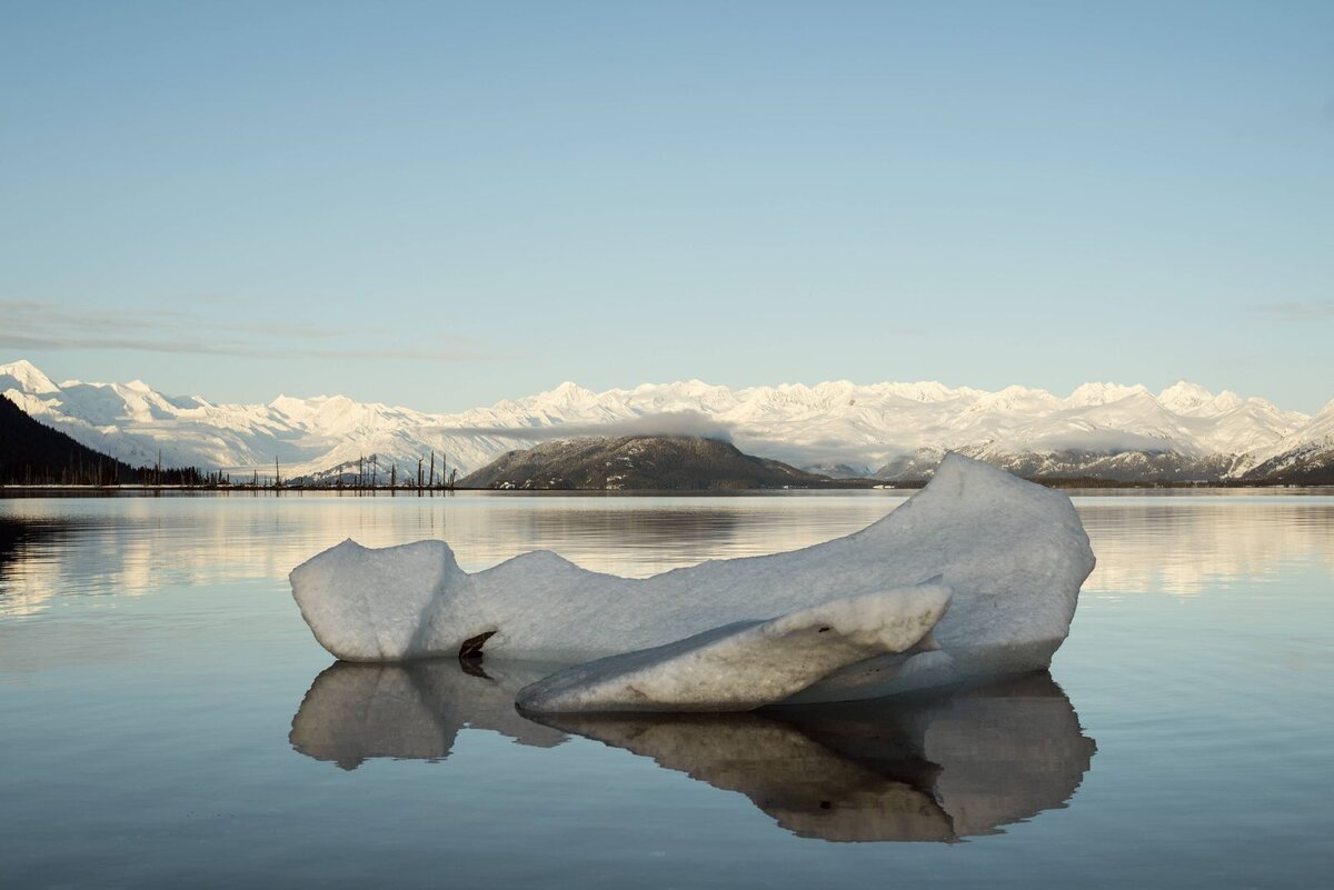    ©ТАСС/ imago stock&people