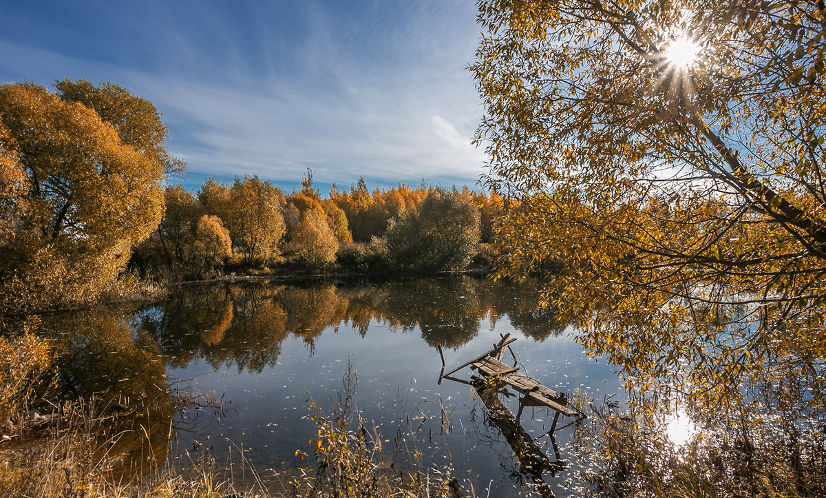 https://img.fotokonkurs.ru/cache/original/photos/2018/11/15/4/9f09a19f2bb10c710e1b8417a32f5375/c2975643991850fc7eec21f2a542ebbfb25a0aa6.jpg