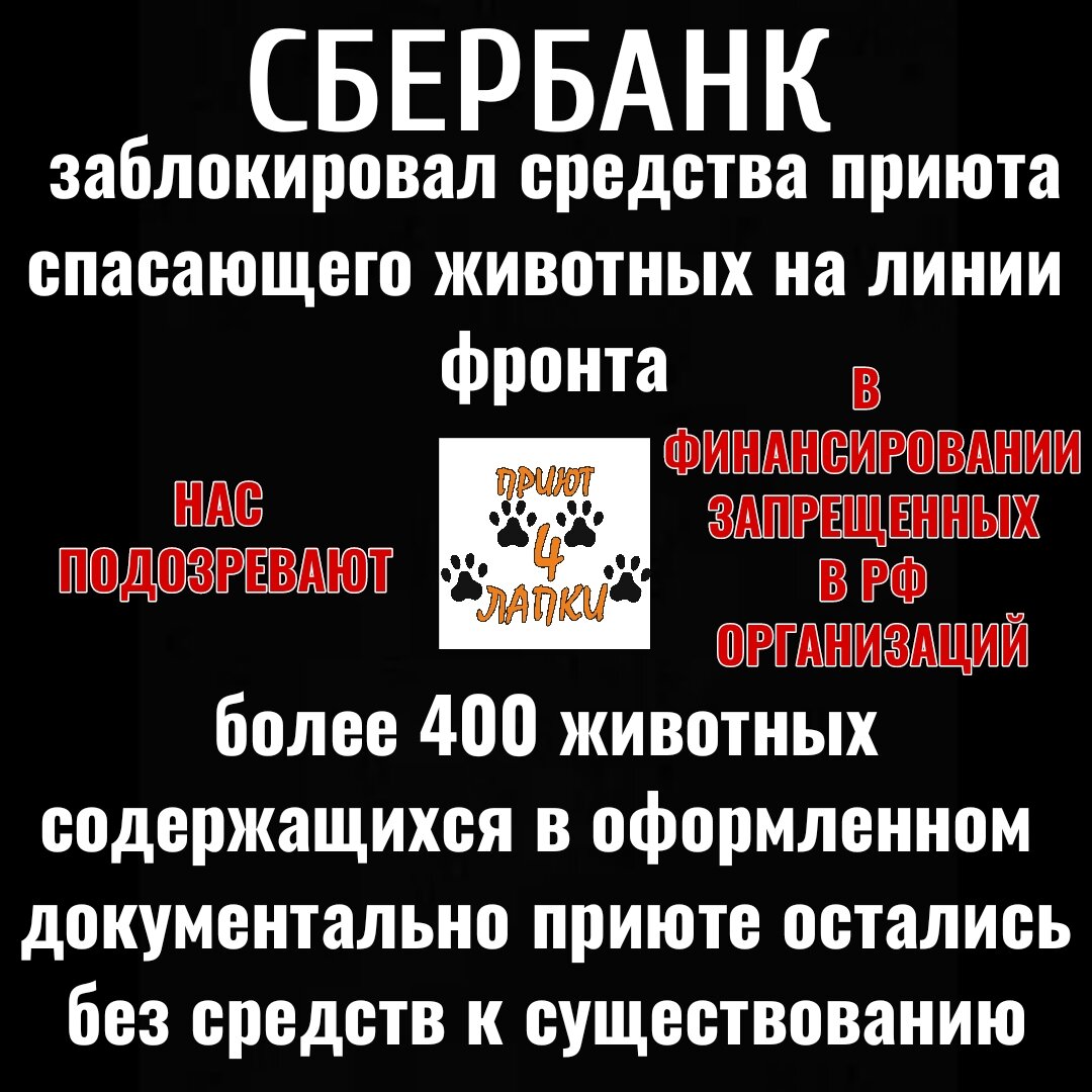 Сбербанк оставил прифронтовой приют для животных «4 ЛАПКИ» без средств к  существованию | Хвостатый Блог|Приют и собаки | Дзен