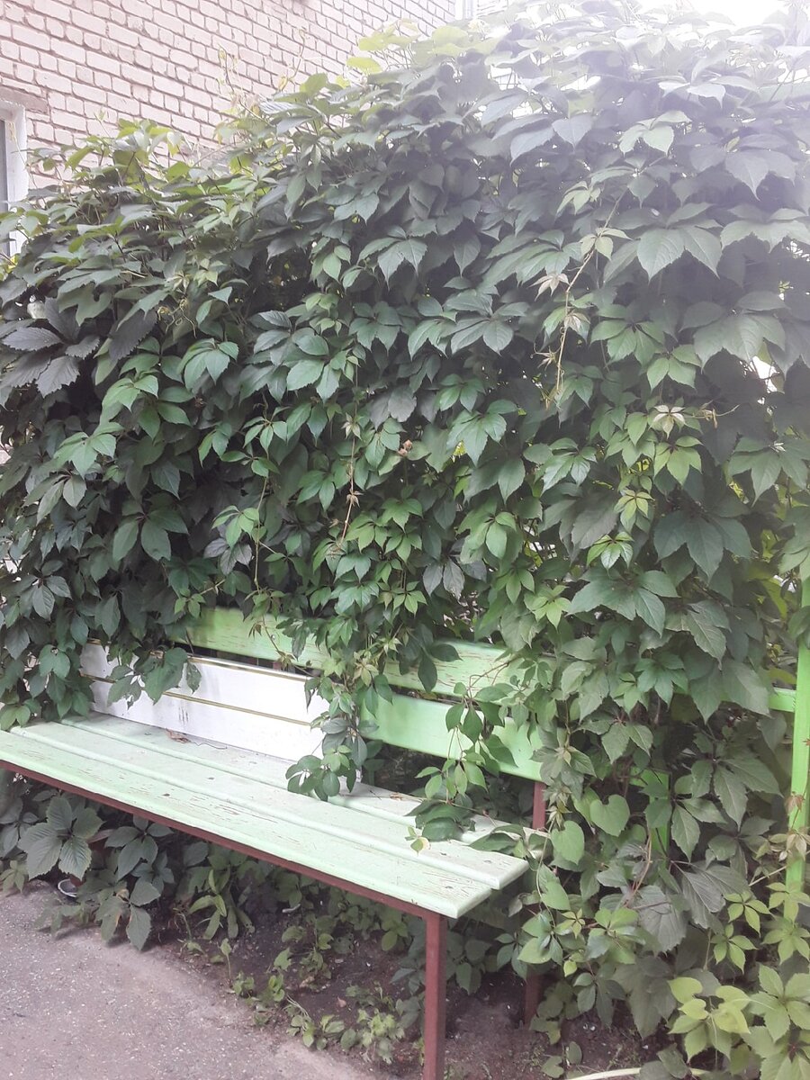 Открытые комментарии к каждой статье вполне позволяют устроить разговоры на скамеечке: кто хочет - общается, кто не хочет - проходит мимо