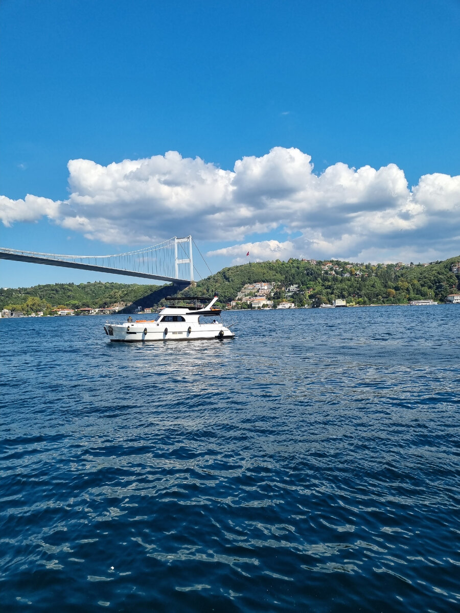 Мост Махмеда Фатиха