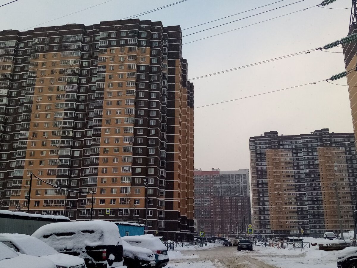 Метро павлино