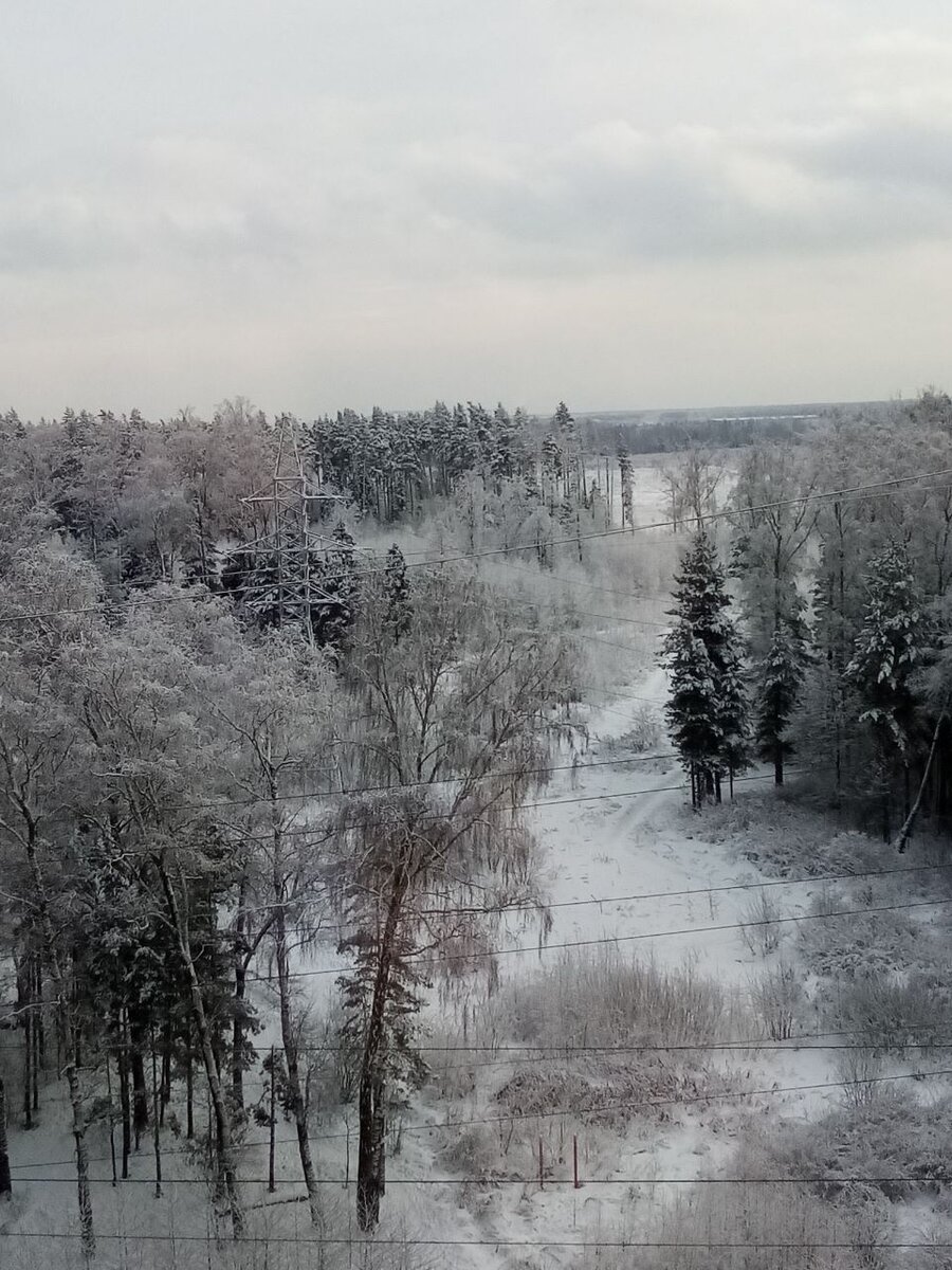 Новоград Павлино. Краткий обзор микрорайона в г.Балашиха. | С  любовью...Света. | Дзен