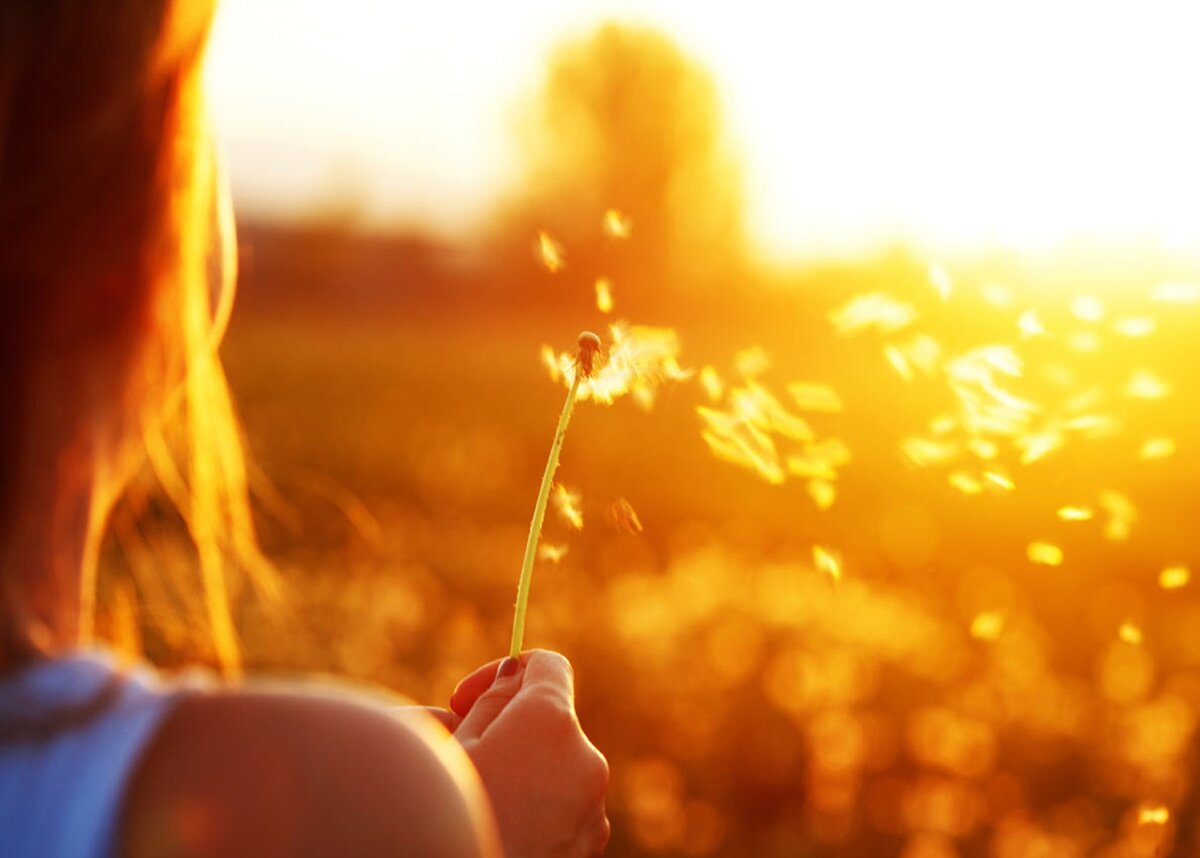 Разреши себе все чувства