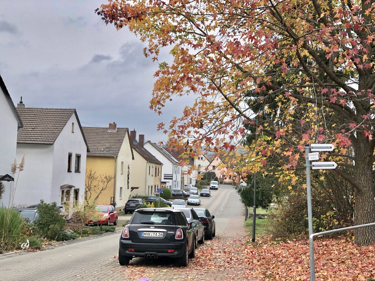 На фото - Бендорф