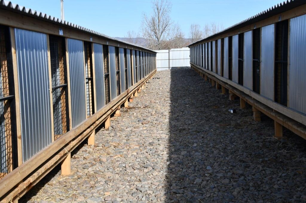    Фото: Евгений Епанчинцев