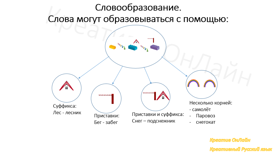 Морфологический разбор «лесника»