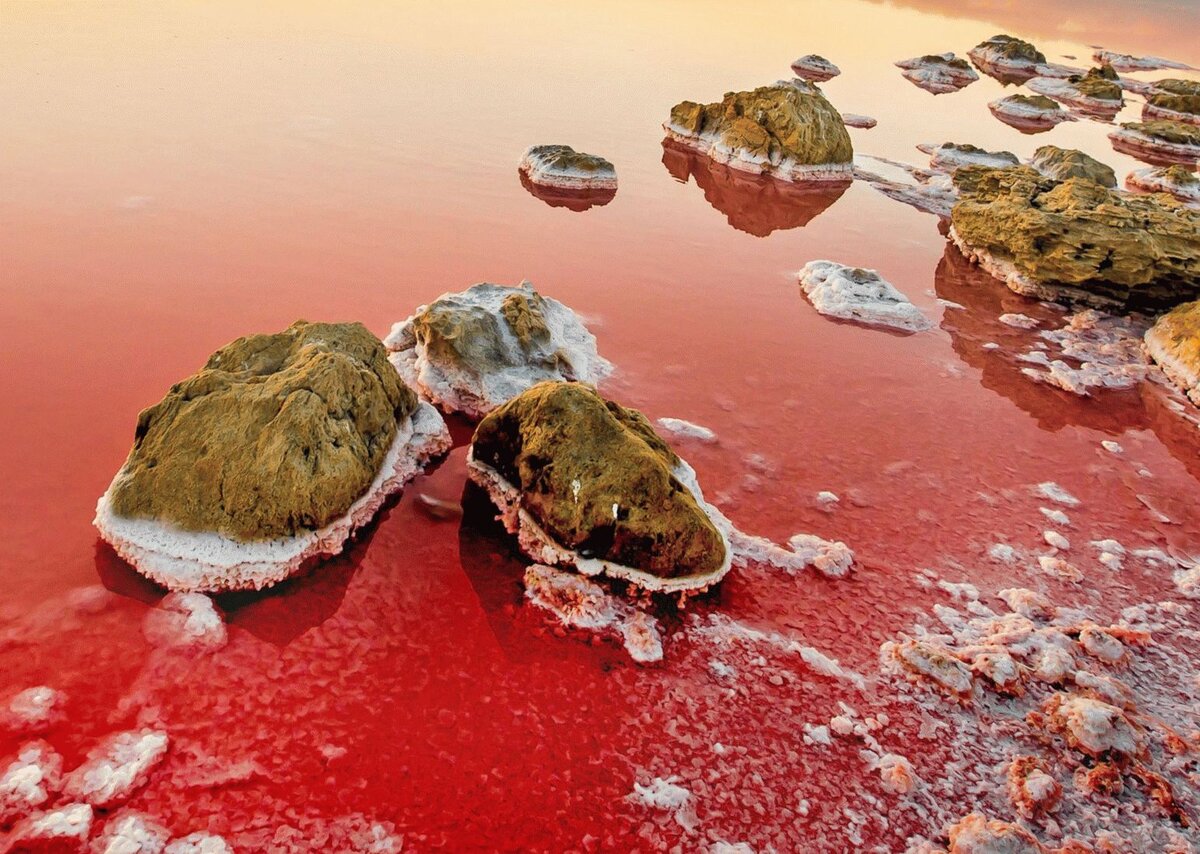 Кояшское озеро 