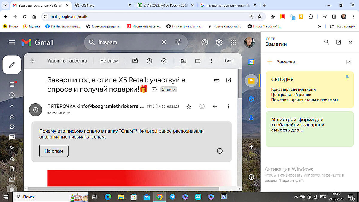 Новогодний розыгрыш от «Пятерочки» или Внимание, мошенники! | Ай_ва | Дзен