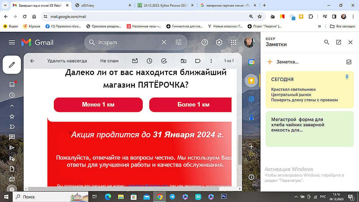 Новогодний розыгрыш от «Пятерочки» или Внимание, мошенники! | Ай_ва | Дзен